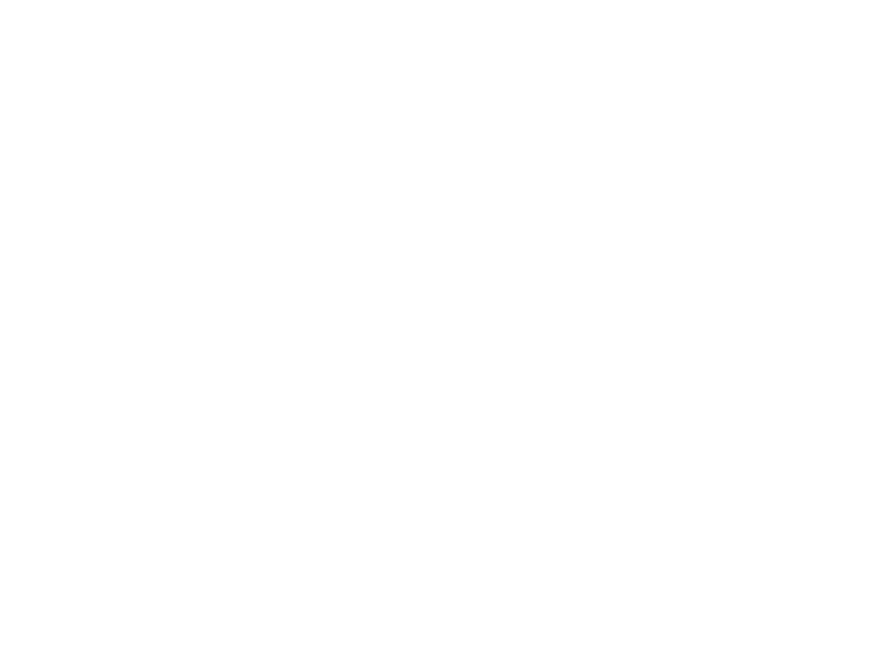 Lot 23