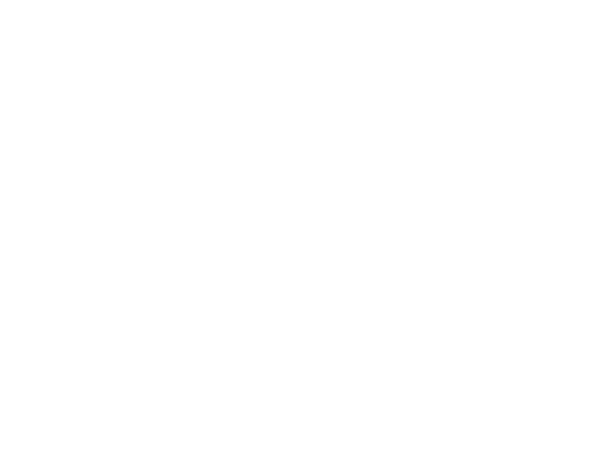 Lot 23
